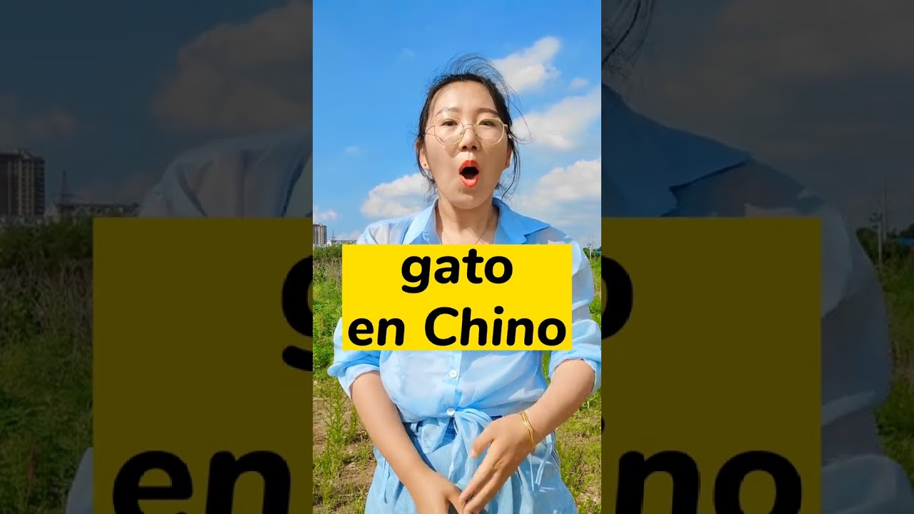 como se dice gato en chino