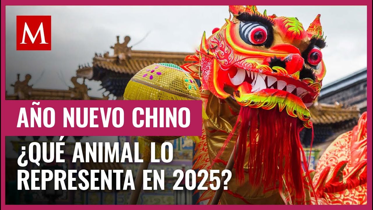 en que ano estan los chinos