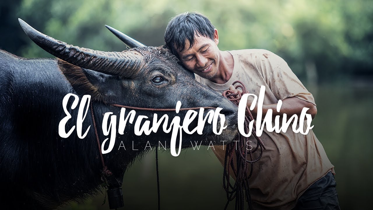 buena suerte en chino