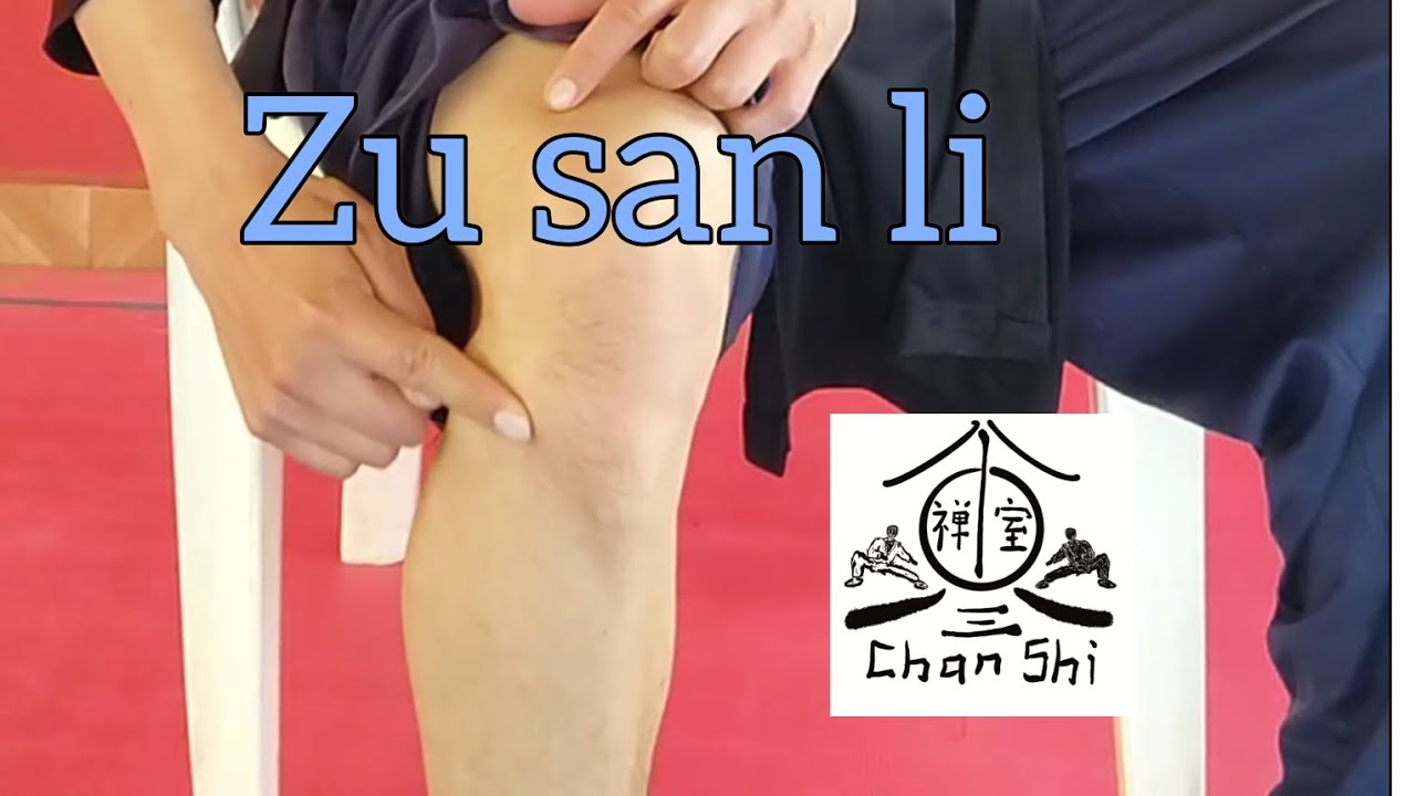 como localizar el punto zu san li