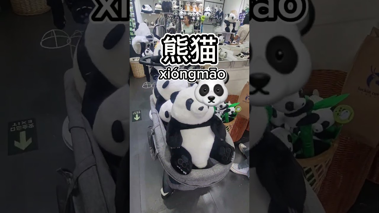 como se dice panda en chino