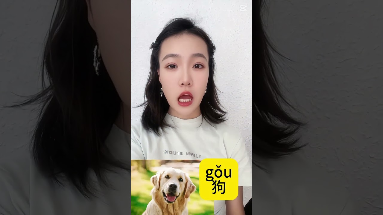 como se dice perro en chino