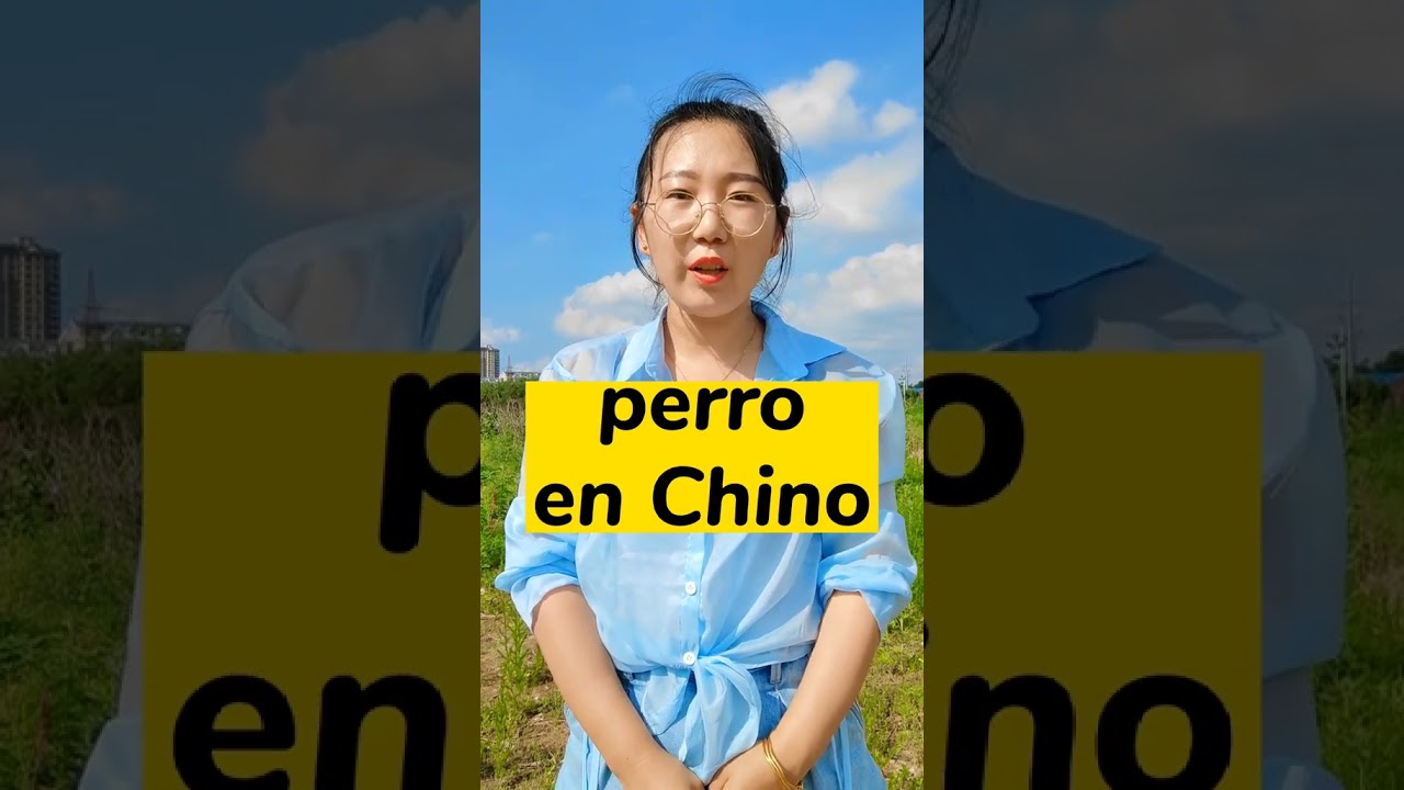 perro en chino
