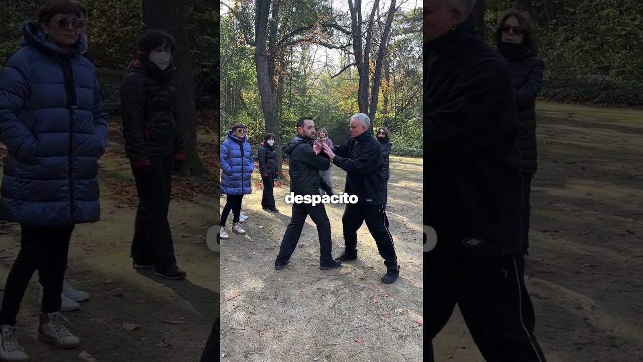 shou y gong que significa