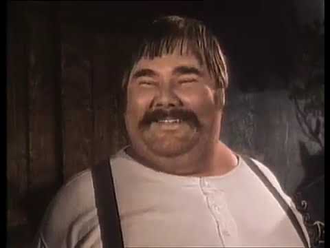 zorro chino